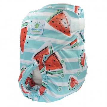 2018 01 melone os klett2