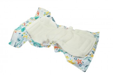 2019 08 maxi pad cover21592