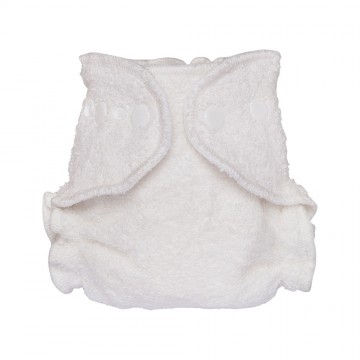 2024 01 nb bambooterry